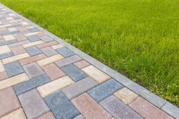 Best Commercial Driveway Pavers  in Saint Johns University, MN